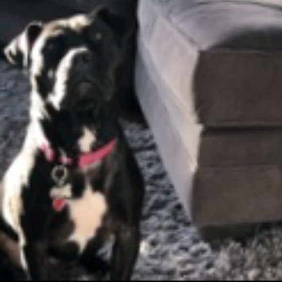 Meet your Posher, Jennifer - Picture 1 of 1